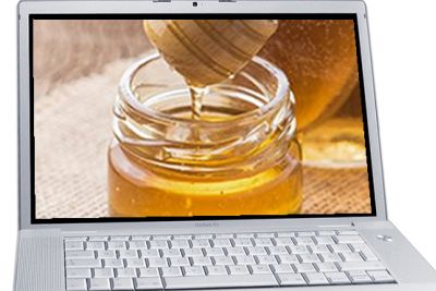 Traditionelle Haus- und Heilmittel aus der „Apotheke“ Bienenstock